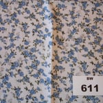 BW 611
